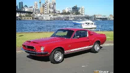 Muscle and Exotic Cars