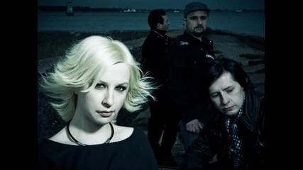 Youtube - Amoric - Photograph