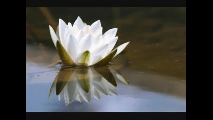 Karunesh Silent Heart - A World of Sound and Silence Beyond Time 
