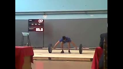 macara 