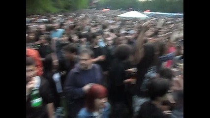 Уикеда - цвете за гошо 05.06.2010 