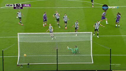 Goal by Fulham