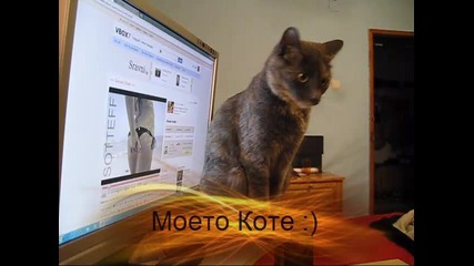 Котенцето