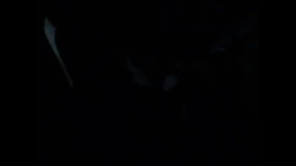 кукери в Марково - 2 2010