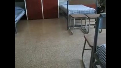 Лунната Походка - Див Войник