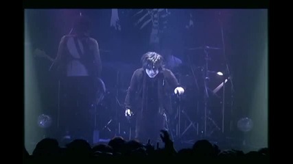 The Studs - Spider Nest 