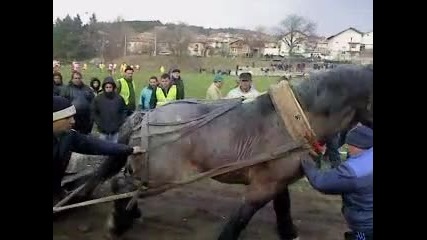 Бравус - Стрелча 16.03.2013.