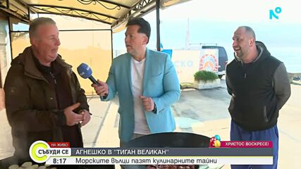 Агнешко в "тиган великан"