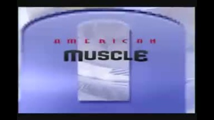 american muscle car chevy chevelle ss 396 - ss454 