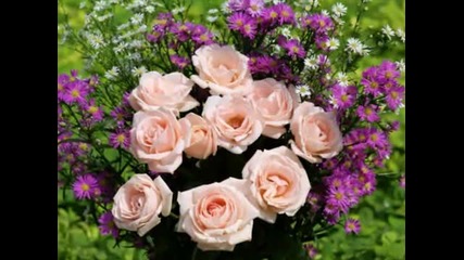 Rosas - Canon en Re - Pachelbel 