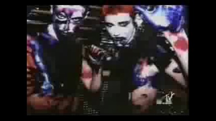 Shampoo - War Paint