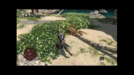 Assassin s Creed Iv Black Flag Stealth Gameplay