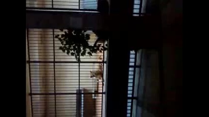 zologicheska gradina(luv) 