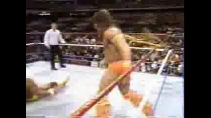 The Ultimate Warrior Vs Hulk Hogan