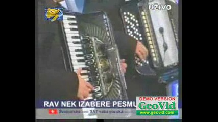 Драгана Миркович - На Живо