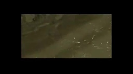 завод на мерцедес в турция