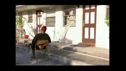 Наркотици Оод (крак)
