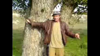 природата и Добрин