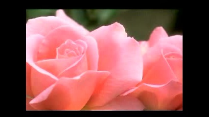 Smoothjazz John Klemmer My Perfect Love
