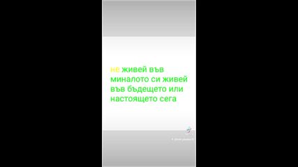 2024-11-23-133601542.mp4