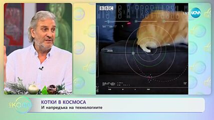 Котки туристи - Странностите на някои стопани - „На кафе” (21.12.2023)