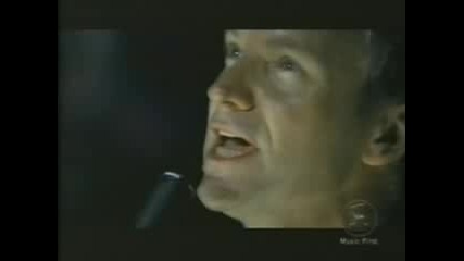 Sting - Desert Rose