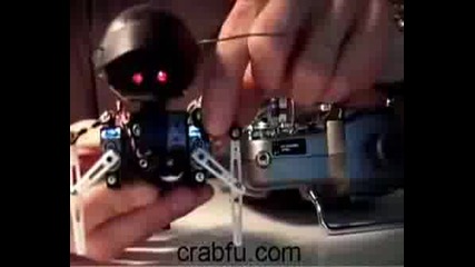 SwashBot 1