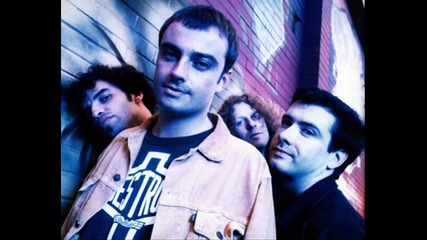 Catherine Wheel - Black Metallic 