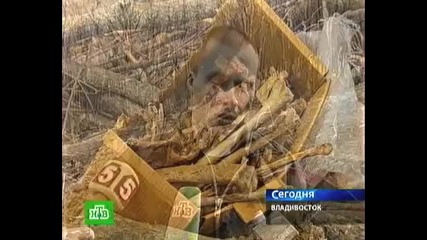 Масов Гроб - Страшни Находки - Владивосток 