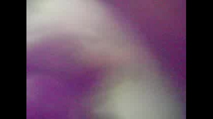 Plusheno Zai4e