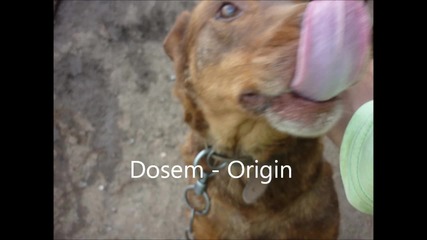 Dosem - Origin