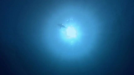 Amazing Nature - Music Video (hd) 