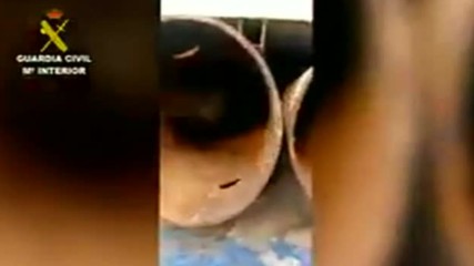 Куче спаси мигрант, заклещен в тръба