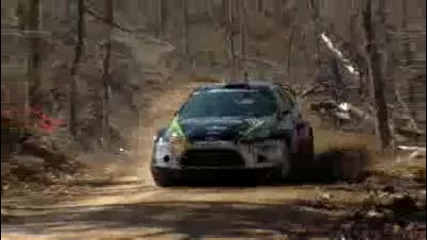 2010 Rally in the 100 Acre Wood 