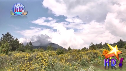 Сватбарски Кучек.