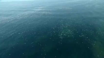 Земята - нашият общ дом! 
