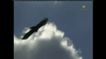 el condor pasa -полетът на орела