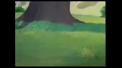 Tom Jerry 