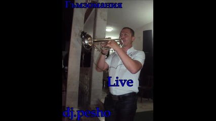 Гъмзомания -live v s. Riben -kuchek [dj.pesho-2011]