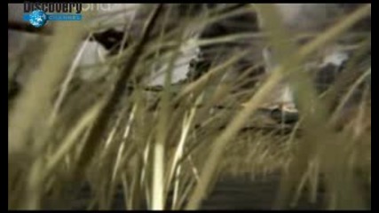 Discovery Channel Greatest Tank Battles The Battle of Kursk 4/4 16:9 