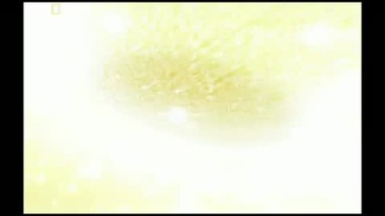 Ekol - Still Alive (hq) (national Geographic moments) 