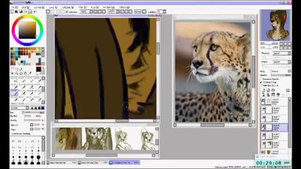 Spots