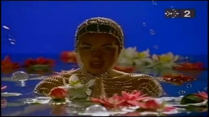 Amber - This is your night