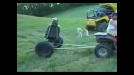 На тези не им трябва луна парк :)