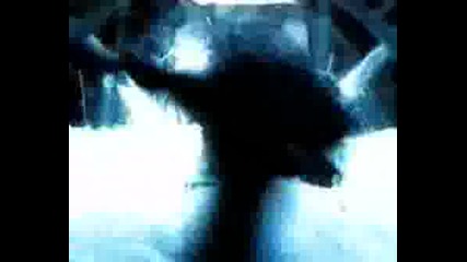 Limp Bizkit - Arranged