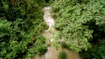5 Минути Истинска Красота 