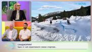 Скиджоринг - един от най-атрактивните зимни спортове | На кафе | 4 февруари 2026