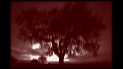 Ital - Organica (original Mix) 