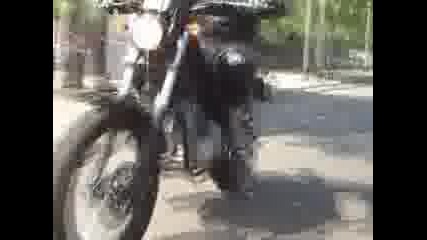 Y Man 8