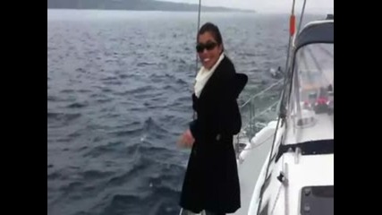 Животни в морето